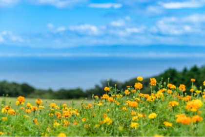 Awaji Island