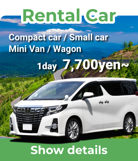 RentalCar